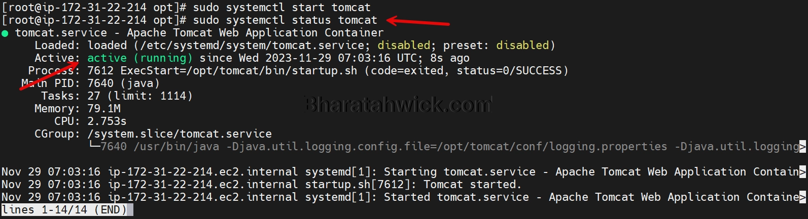 how to install tomcat in aws linux