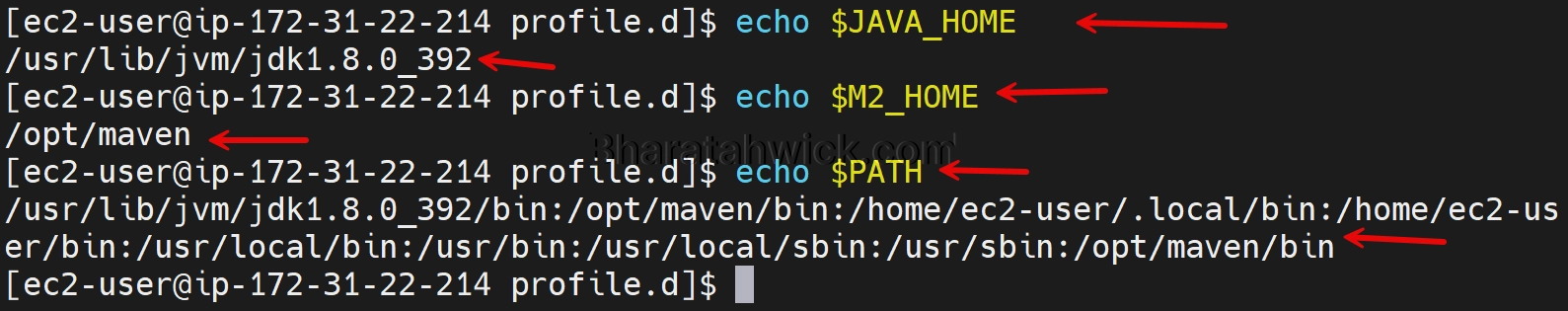 how to create shell script environment variables java maven